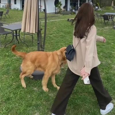 沙漠中的西蒙