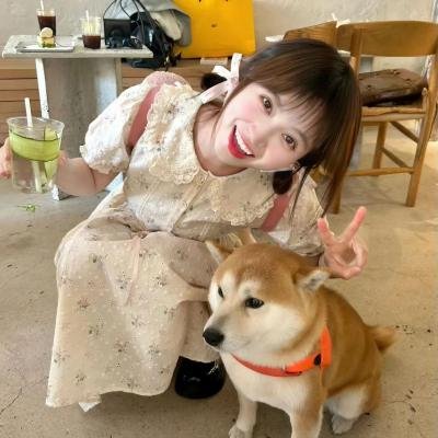 雾水总统